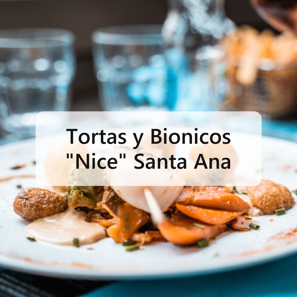 Tortas y Bionicos "Nice" Santa Ana